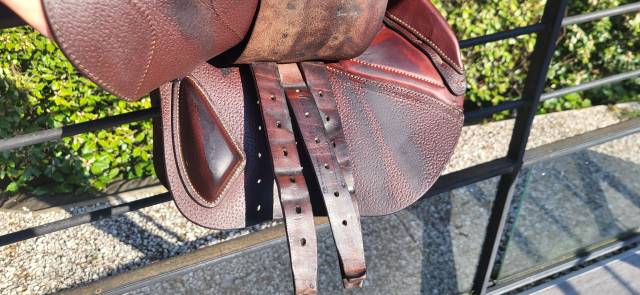 Sella da salto ostacoli CWD  16" - 2022