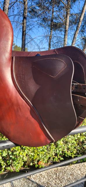 Sella da salto ostacoli CWD  16" - 2022