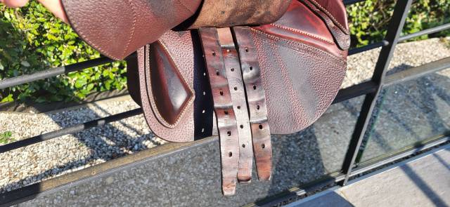 Sella da salto ostacoli CWD  16" - 2022