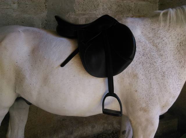 Sella mista Mondange Mondange Sport 17" - 2012