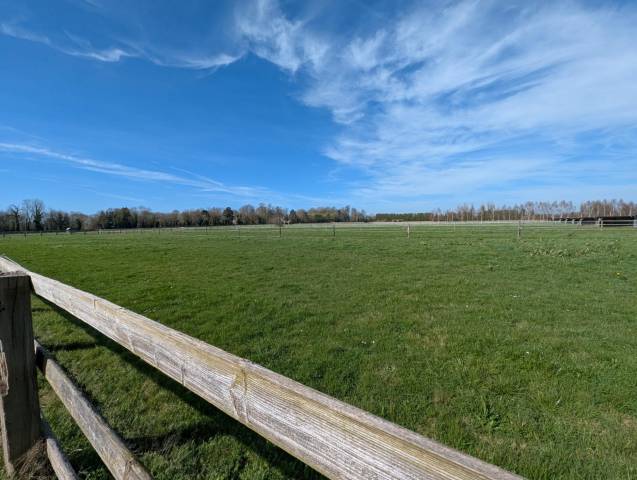 Propriet&agrave; equestre In vendita Calvados