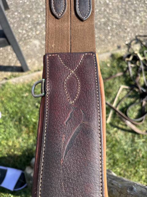 Sella da salto ostacoli Antar&egrave;s  18" - 2022