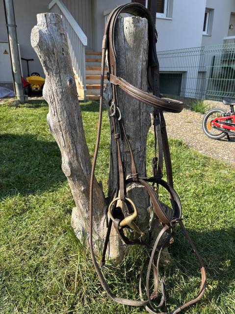 Sella da salto ostacoli Antar&egrave;s  18" - 2022