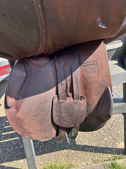 Sella da salto ostacoli Antar&egrave;s  18" - 2022