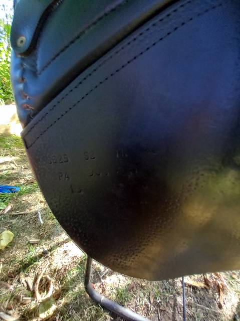 Sella da salto ostacoli CWD  17" - 2022