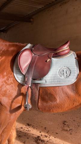 Sella da salto ostacoli CWD  17.5" - 2022