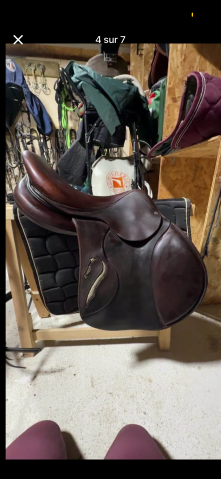 Sella da salto ostacoli Antar&egrave;s  17" - 2017