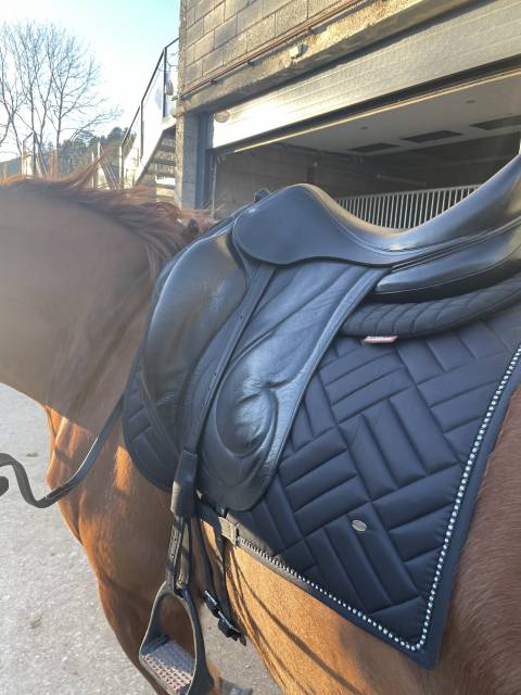 Sella da dressage Antar&egrave;s  18" - 2010