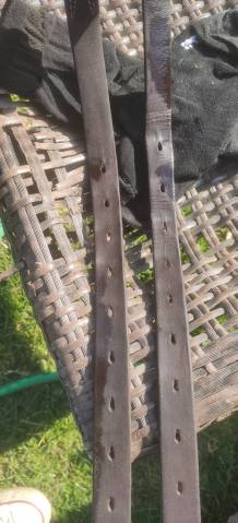 Sella da cross Forestier  17" - 2022