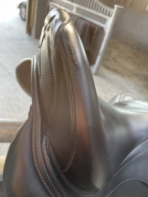 Sella da dressage Prestige Italia  17" - 2024