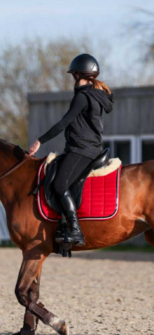 Sella da dressage Equipe  16.5" - 2016