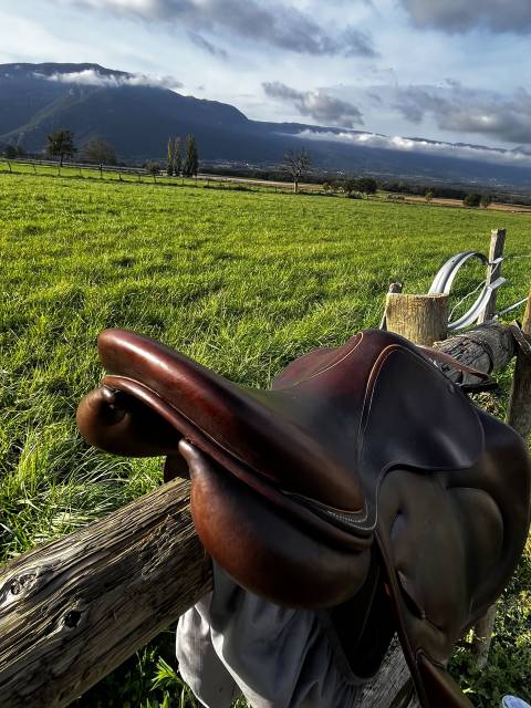 Sella da cross Childeric  18" - 2016