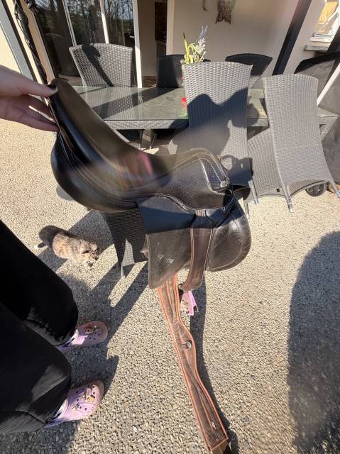 Sella da salto ostacoli Prestige Italia  17.5" - 2018