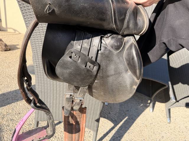 Sella da salto ostacoli Prestige Italia  17.5" - 2018