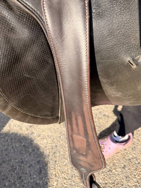 Sella da salto ostacoli Prestige Italia  17.5" - 2018