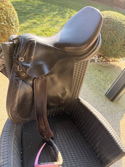 Sella da salto ostacoli Prestige Italia  17.5" - 2018