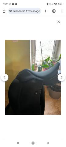 Sella da dressage Wintec  18" - 2022