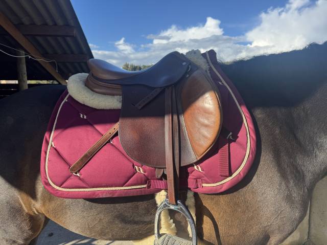 Sella mista Antar&egrave;s Altair 16.5" - 2017