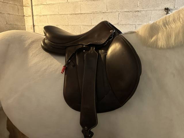 Sella mista Forestier  17.5" - 2022