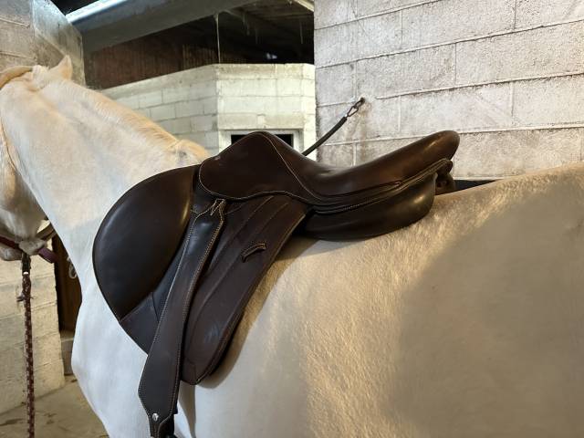 Sella mista Forestier  17.5" - 2022