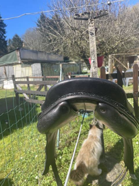 Sella mista Forestier  17" - 2005