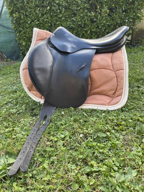 Sella da salto ostacoli Belloir  17.5" - 2000