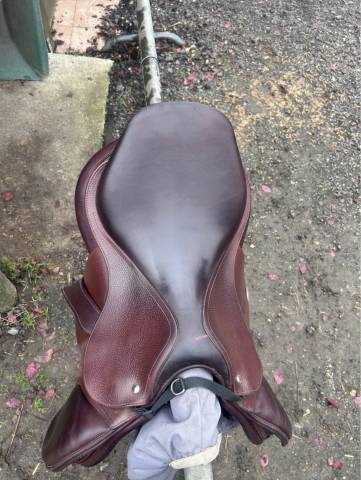 Sella mista Meyer  17" - 2021