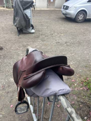 Sella mista Meyer  17" - 2021