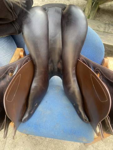 Sella mista Prestige Italia Passion 17" - 2020