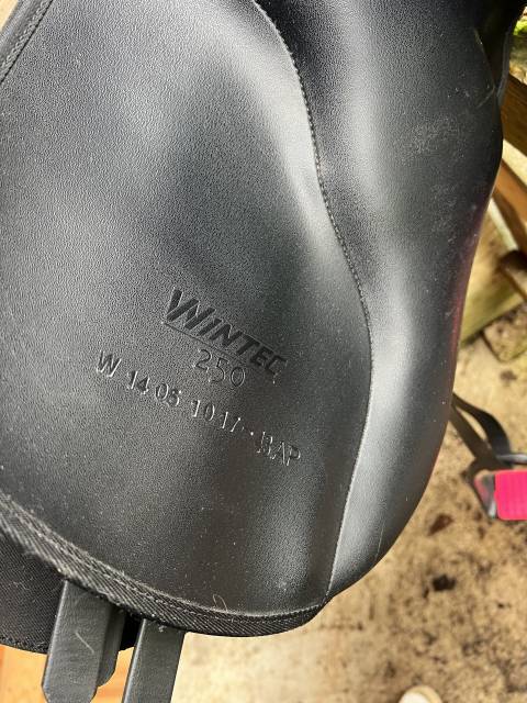 Sella mista Wintec Winterstein 250 all purpose 17.5" - 2015