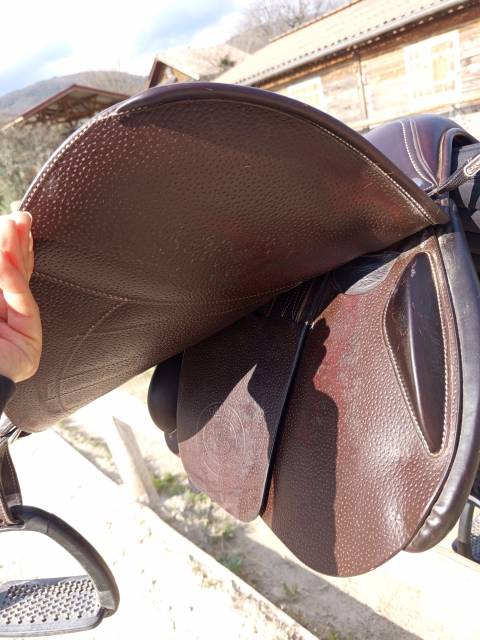 Sella da salto ostacoli Forestier  17" - 2024