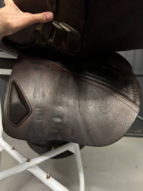 Sella da salto ostacoli CWD  17" - 2017