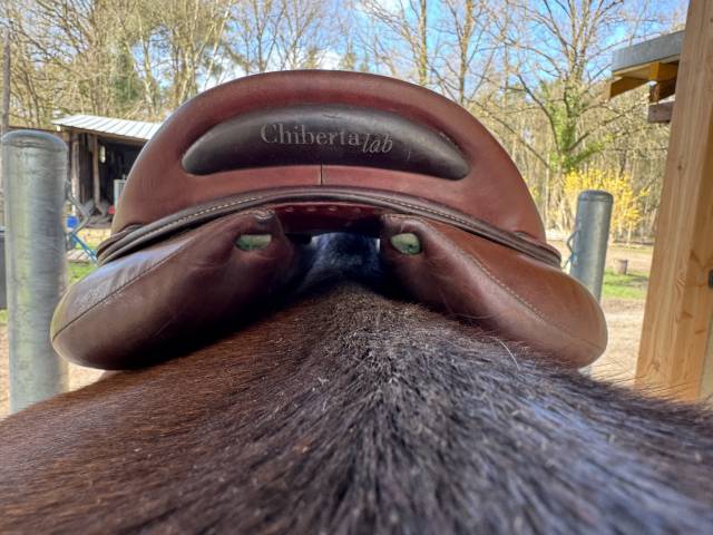 Sella mista Devoucoux  18" - 2015