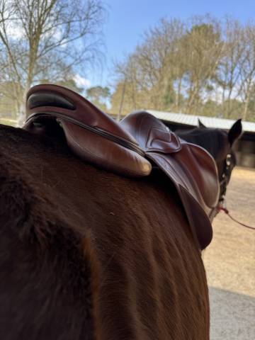 Sella mista Devoucoux  18" - 2015