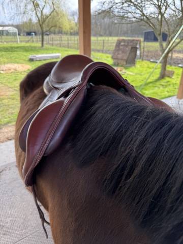 Sella mista Devoucoux  18" - 2015