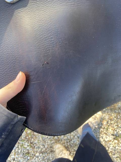 Sella mista Bates Je ne sais pas  17.5" - 2008