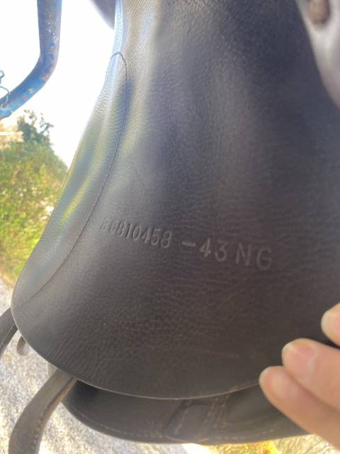 Sella mista Bates Je ne sais pas  17.5" - 2008