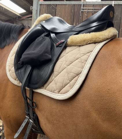 Sella da dressage Equipe  17" - 2019