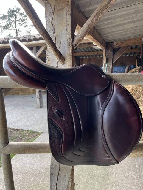 Sella da salto ostacoli CWD  17.5" - 2015