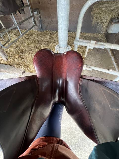 Sella da salto ostacoli CWD  17.5" - 2015