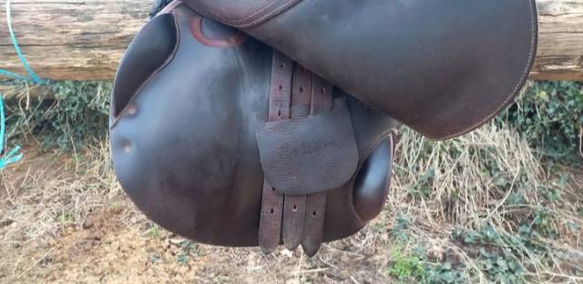 Sella da salto ostacoli Childeric FJ 17.5" - 2000