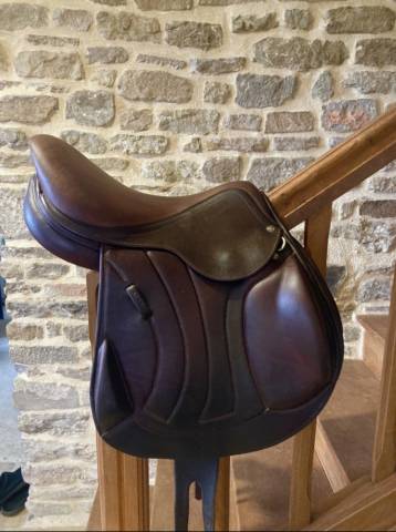 Sella da salto ostacoli Antar&egrave;s  17" - 2023