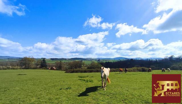 Propriet&agrave; equestre In vendita Allier