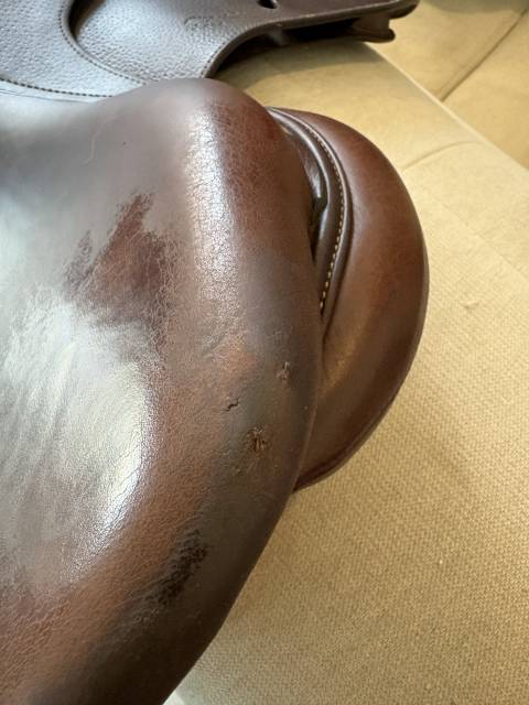 Sella da salto ostacoli Antar&egrave;s  17" - 2008