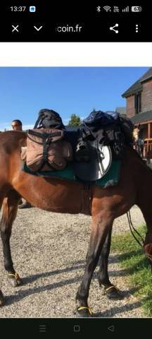 Sella da trekking Stubben  17.5" - 2016