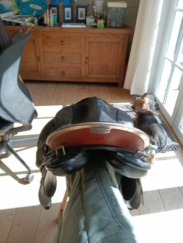 Sella da trekking Stubben  17.5" - 2016