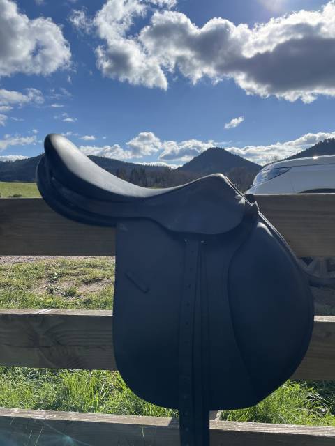 Sella mista Forestier  17" - 2010