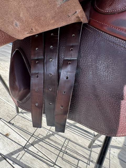 Sella da salto ostacoli CWD  17" - 2024