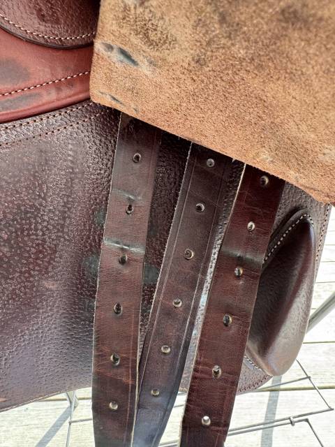 Sella da salto ostacoli CWD  17" - 2024