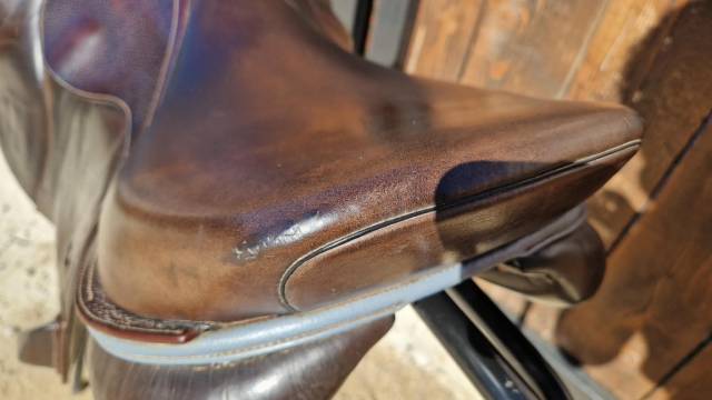 Sella da salto ostacoli Ikonic  17.5" - 2022